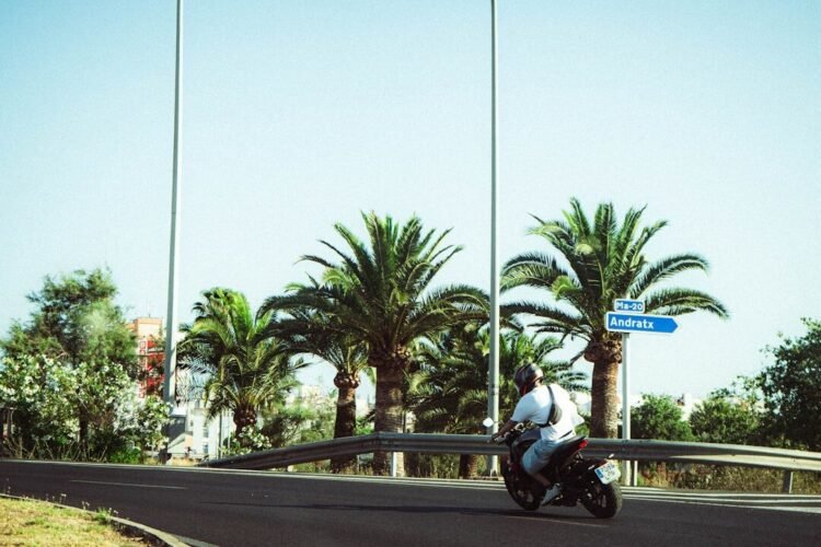 Los barrios más populares para quedar con escorts en Alicante ciudad