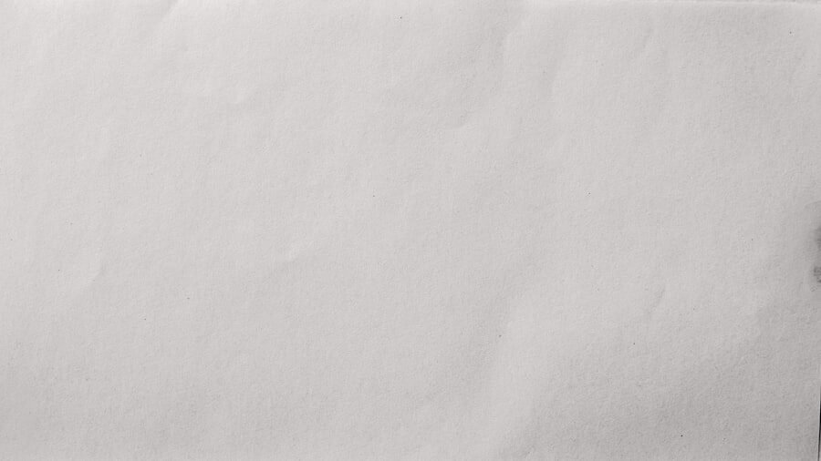 Photo companera perfecta